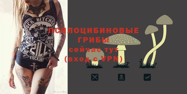 гашик Майский