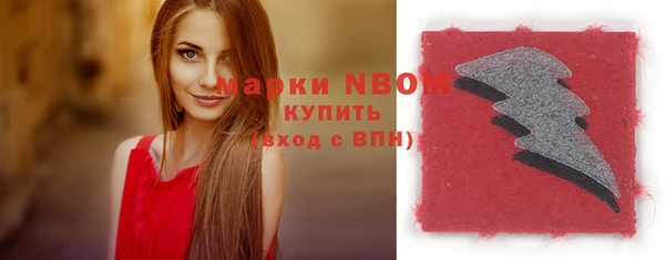 гашик Майский