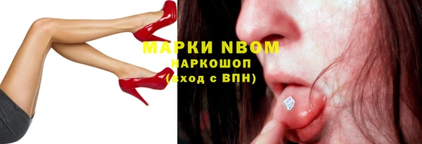 гашик Майский