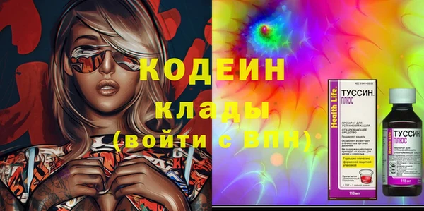 гашик Майский